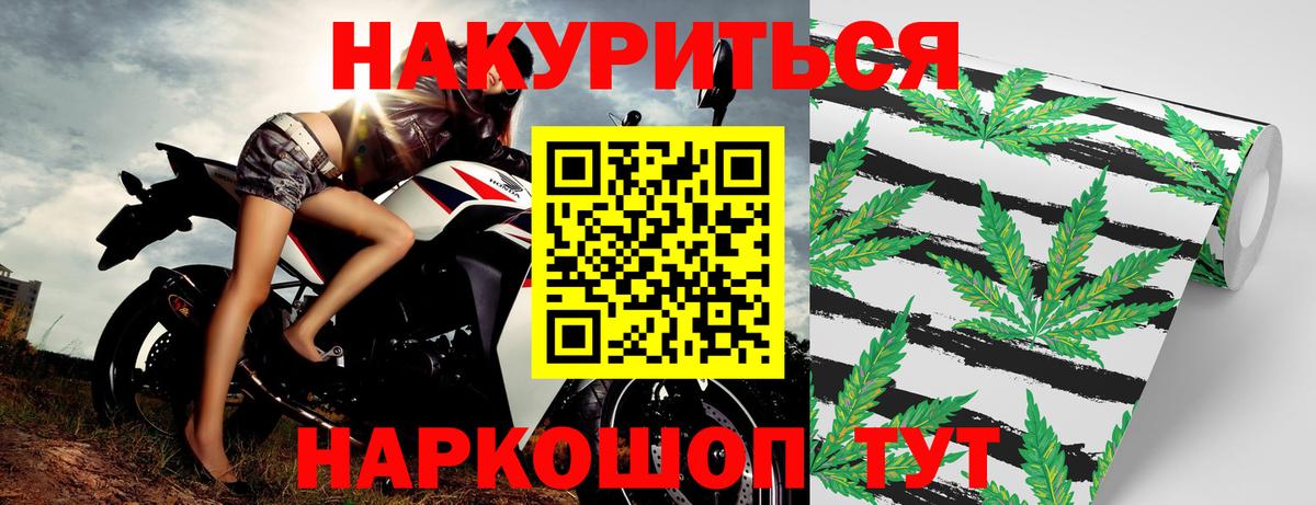 Канабис Bruce Banner  Канабис ГИДРОПОН  Вход с VPN  Электрогорск  Конопля тримм 